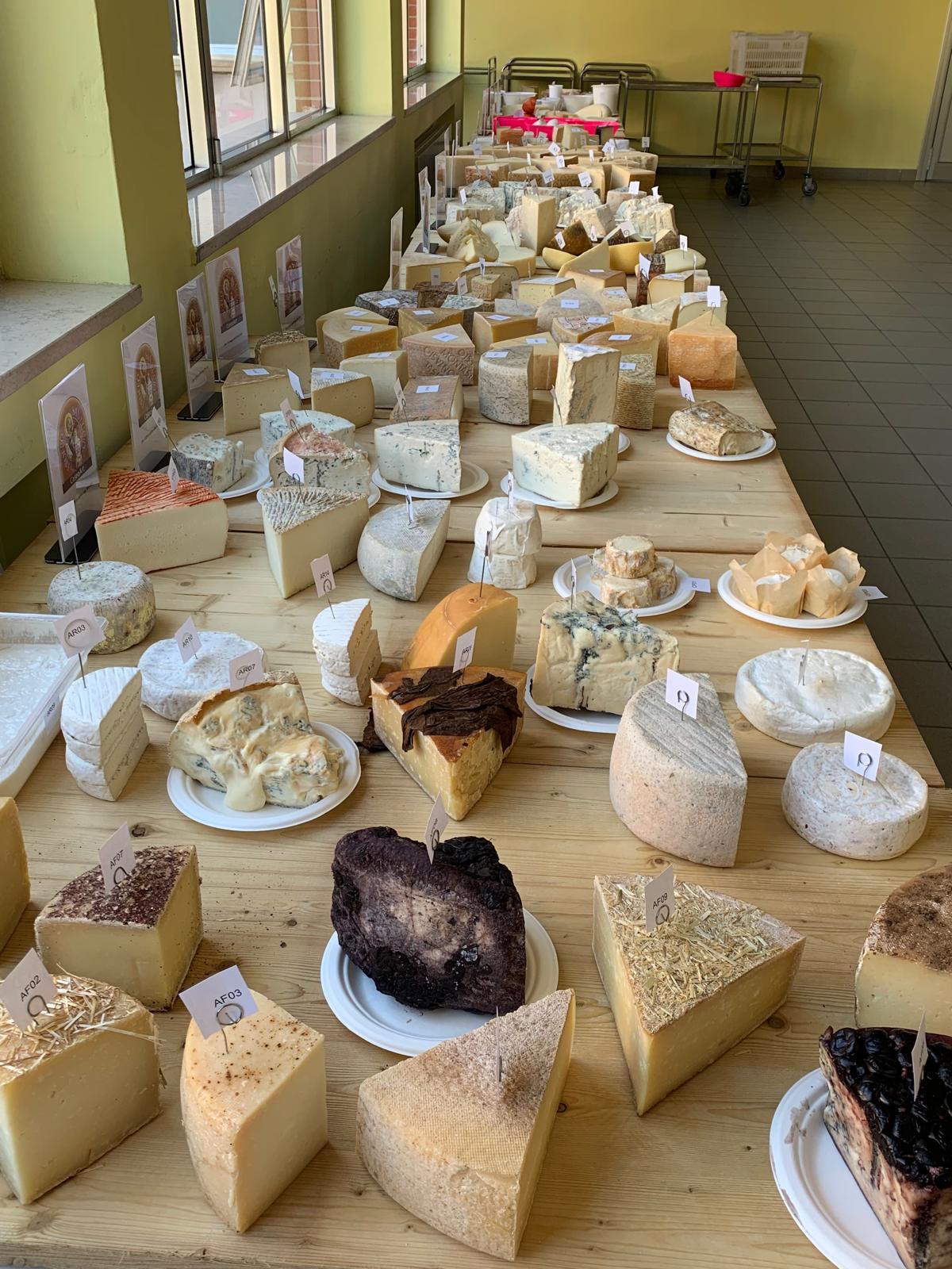 Formaggi in concorso esposti sul lungo tavolo, con campioni identificati da cartellini